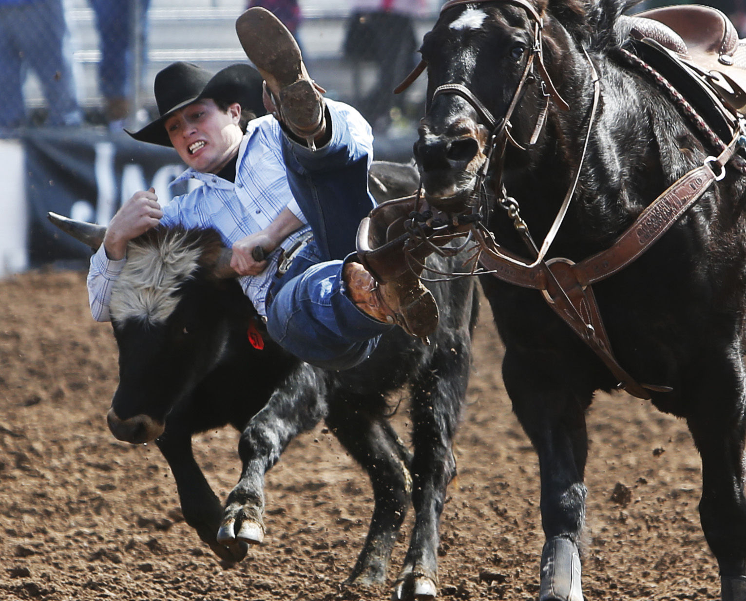 La Fiesta de los Vaqueros